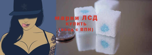 ПСИЛОЦИБИНОВЫЕ ГРИБЫ Богородицк