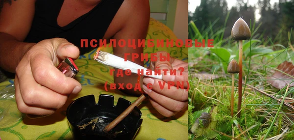 ПСИЛОЦИБИНОВЫЕ ГРИБЫ Богородицк